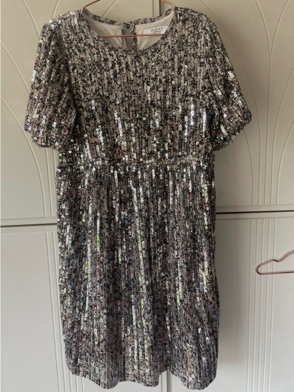 Silver Sequin Short Sleeve Party Dress
